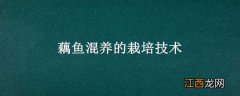 藕鱼混养的栽培技术 鱼藕混养模式