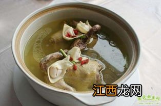 鸽子汤和什么炖最营养 鸽子汤用什么材料炖