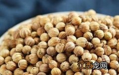 芫荽怎么吃 芜荽子怎样食用