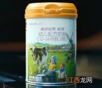 海普诺凯1987奶粉掺大包粉没