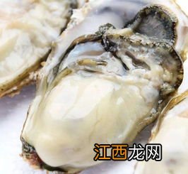 海蛎子是寒性的吗 海蛎的功效与作用及营养