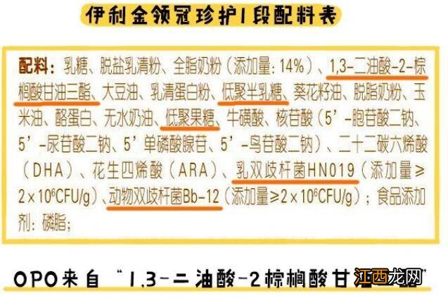 伊利金领冠珍护奶粉怎么样