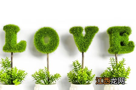 孕前营养食谱：虾皮拌菠菜孕前饮食