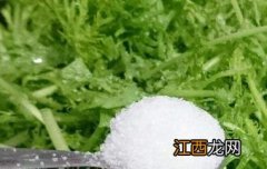 银丝菜的功效与作用及药用价值与禁忌 银丝菜的功效与作用及药用价值