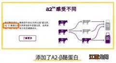 澳洲版a2和中国版a2奶粉哪个更有营养