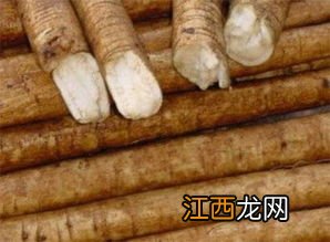 新鲜牛蒡根可以直接泡水喝吗 牛蒡根的功效与作用泡水喝的功效