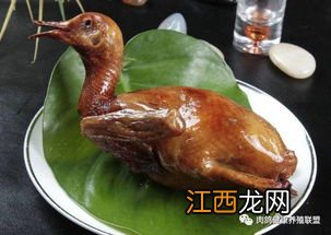 鸽子蛋的食用方法 鸽子和什么炖补肾最好