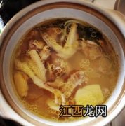 炖老鸽子放什么药材 鸽子和什么炖气血双补