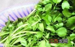 豆瓣菜的功效与作用 豆瓣菜的功效与作用及禁忌