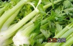 茴芹怎么吃 异叶茴芹怎么吃