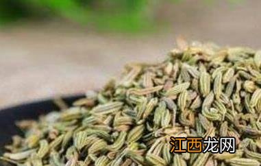 茴香籽怎么吃 茴香籽怎么吃法做法大全