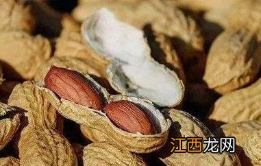 花生壳的功效与作用 花生壳的功效与作用是什么