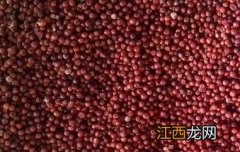 红粟米怎么吃 红粟米怎么食用