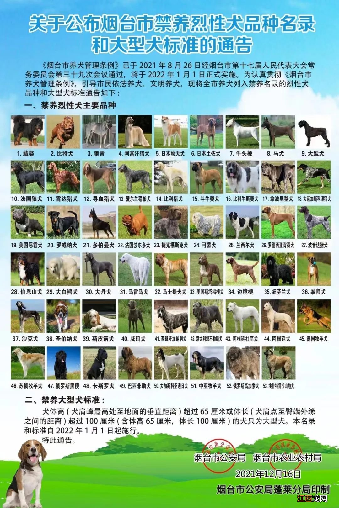 烟台蓬莱区犬证办理指南 烟台宠物办证