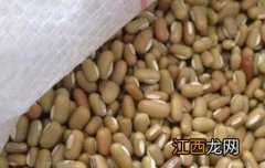 爬豆怎么吃才能起到减肥作用 爬豆怎么吃