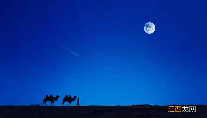 把酒赏月下一句把酒赏月是什么意思