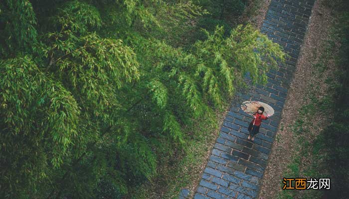 北风吹过竹林发出什么声音风儿吹过竹林发出什么声音