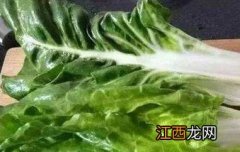 厚皮菜的功效与作用 厚皮菜的功效与作用是什么