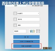 西安E类人才认定申请表下载地址在哪