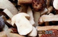 白牛肝菌的功效与作用及禁忌 白牛肝菌的功效与作用