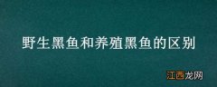 野生黑鱼和养殖黑鱼的区别 野生黑鱼和养殖黑鱼的区别在哪里