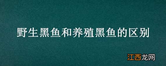 野生黑鱼和养殖黑鱼的区别 野生黑鱼和养殖黑鱼的区别在哪里