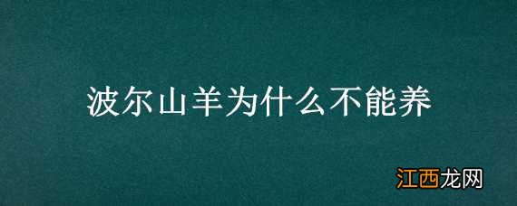 波尔山羊为什么不能养 波尔山羊容易养吗