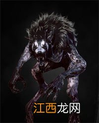 《巫师3：狂猎》全怪物弱点图鉴一览攻略 怪物怎么打 尸婴