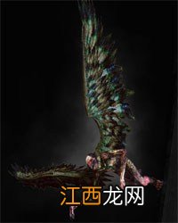 《巫师3：狂猎》全怪物弱点图鉴一览攻略 怪物怎么打 尸婴