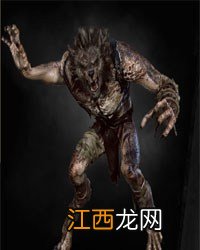 《巫师3：狂猎》全怪物弱点图鉴一览攻略 怪物怎么打 尸婴