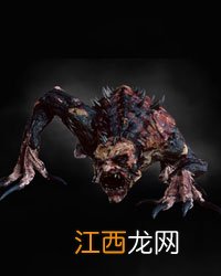 《巫师3：狂猎》全怪物弱点图鉴一览攻略 怪物怎么打 尸婴