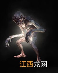 《巫师3：狂猎》全怪物弱点图鉴一览攻略 怪物怎么打 尸婴