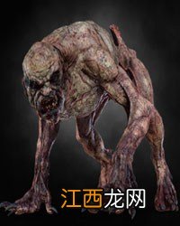 《巫师3：狂猎》全怪物弱点图鉴一览攻略 怪物怎么打 尸婴