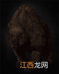 《巫师3：狂猎》全怪物弱点图鉴一览攻略 怪物怎么打 尸婴