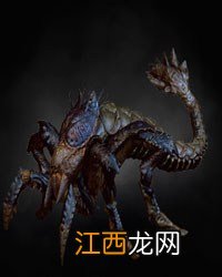 《巫师3：狂猎》全怪物弱点图鉴一览攻略 怪物怎么打 尸婴