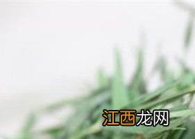 淡竹叶茶的功效与作用 淡竹叶茶的功效与作用是什么