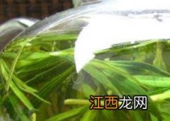 崂山石竹茶图片 崂山石竹茶的功效与作用