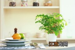 助于孕妈咪恢复的豆类食物产后