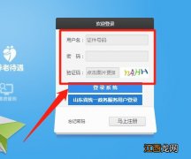 入口+流程 临沂居民养老保险余额社保官网查询方法