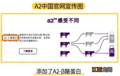 a2奶粉澳洲版和国行版哪个好