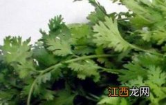 大芫荽与香菜区别 大芫荽和香菜的区别