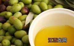 茶油炒菜的功效与作用 茶油炒菜的功效与作用是什么