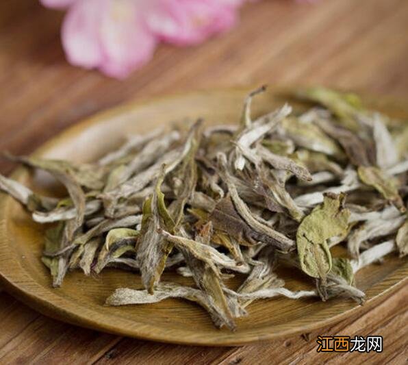 福鼎白茶属于什么茶类