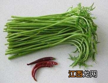 藜蒿和茼蒿有什么区别