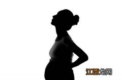 【宝宝辅食南瓜泥的做法】婴儿南瓜泥的做法大全宝宝南瓜泥怎么做好吃