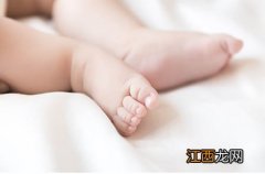 【宝宝吃的鲍鱼粥怎么做】鲍鱼怎么给宝宝熬粥宝宝鲍鱼粥的做法