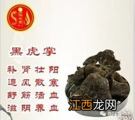 有特殊香味的香料 女人吃黑虎掌菌功效