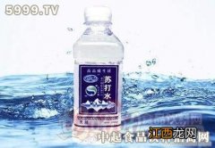 苏打气泡水兑什么好喝 苏打水可以跟什么配着喝