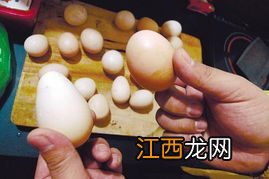 鸡进家里有什么预兆 鸡蛋一打开蛋黄就散了