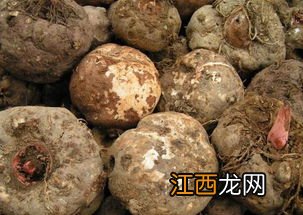 魔芋豆腐哪些人不能吃 什么情况不能吃魔芋